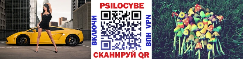 Псилоцибиновые грибы Psilocybine cubensis  Ленинск 